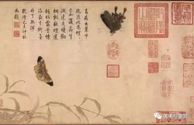 北宋宫廷画家赵昌绘画赏析《写生蛱蝶图卷》