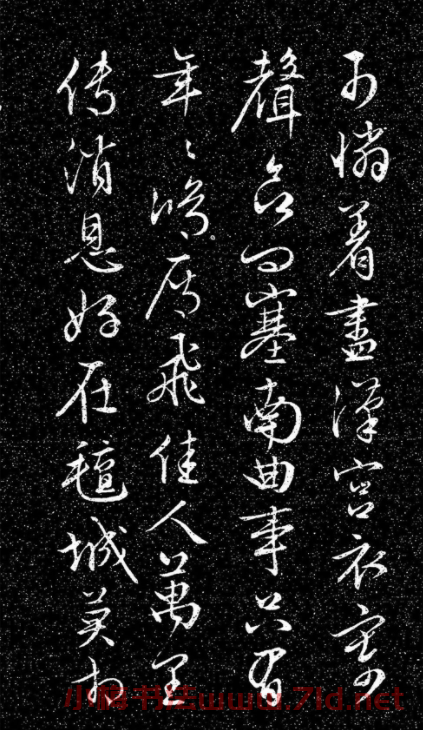 文徵明80岁行草书《明妃曲》日本藏本图2